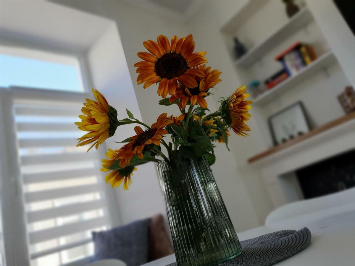 Apartment Scandi *